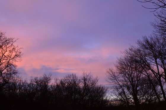 sunrise-nikon-purple